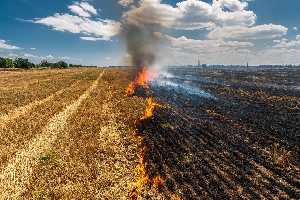 Limpopo Farmers Urged to be Vigilant After High Fire Danger Warning
