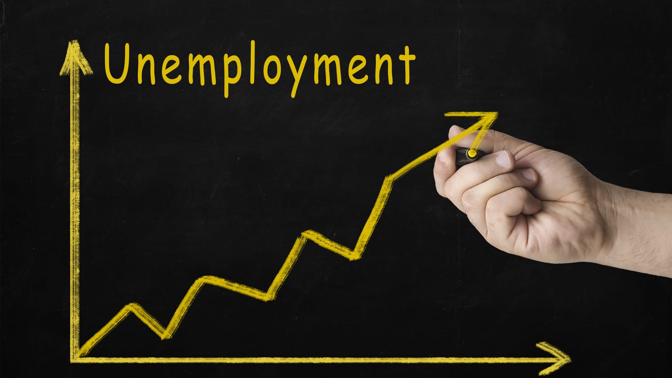 Limpopo Faces Rising Unemployment Amid National Recovery