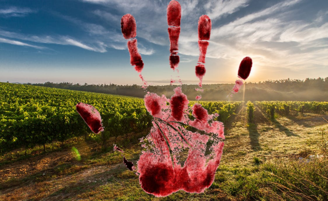 Life Imprisonment for Limpopo Farm Murder